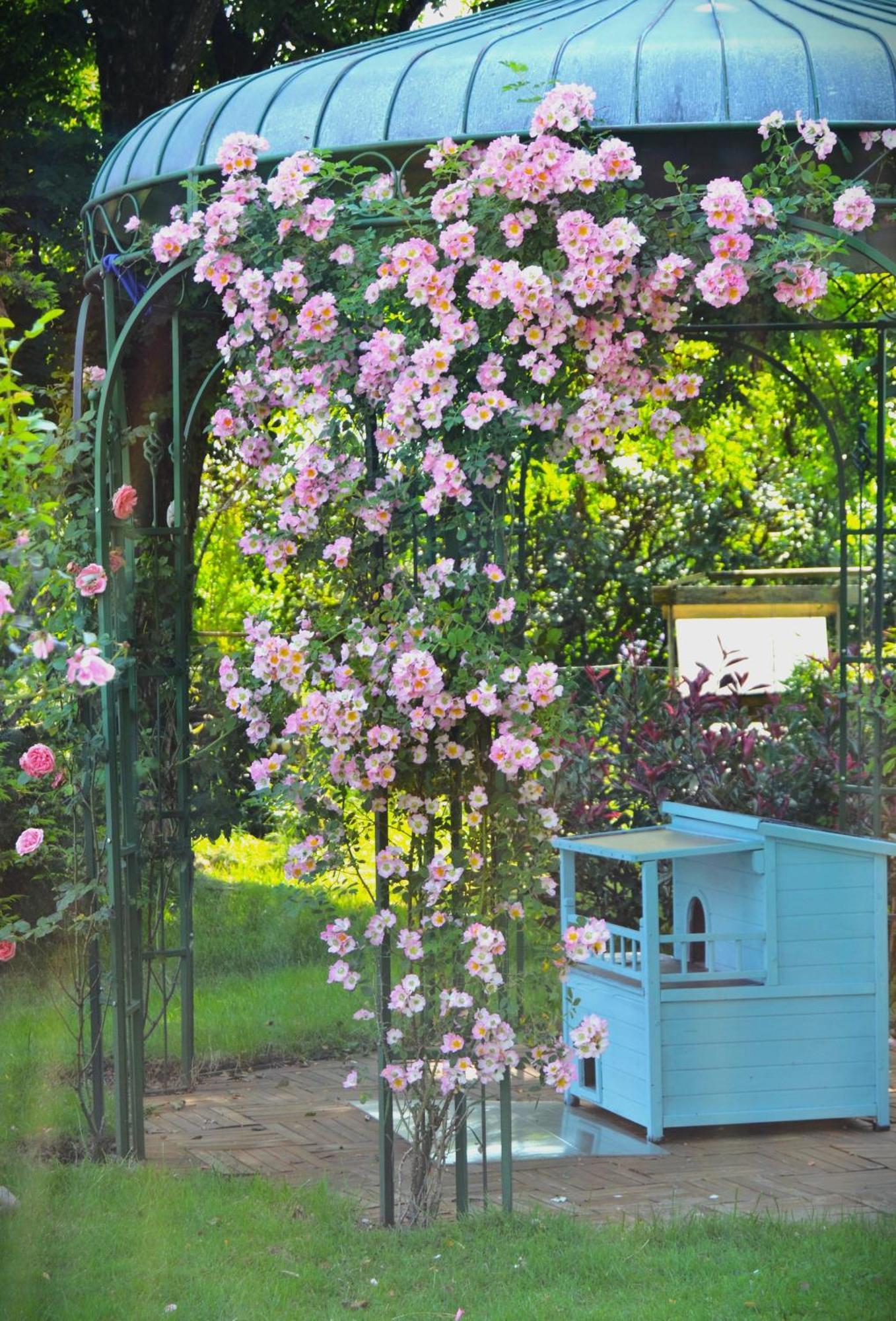 Bed and Breakfast Au Temps Suspendu Champagney Exterior foto